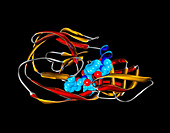 Lopinavir HIV drug-protease complex