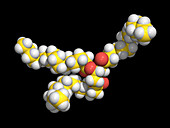 Saturated fat molecule