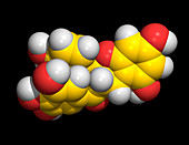 Green tea molecule