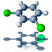 1,3-dichlorobenzene molecule