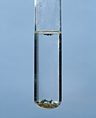 Iodine in water