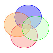 Euler diagram of intersecting circles