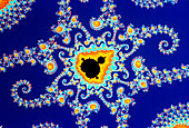 Fractal geometry showing Mandelbrot set