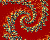 'Royal Coil',Mandelbrot set fractal