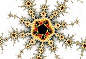 Julia set fractal