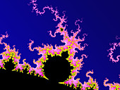 Mandelbrot fractal