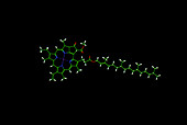 Chlorophyll molecule