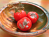 Mouldy tomatoes