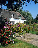 Flowers outside a cottage