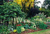 Border at a garden