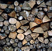 Part-seasoned firewood,including beech