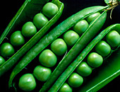 Three open pea pods filled with ripe peas