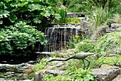 Water feature,Knoll Gardens,UK