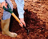 Preparing soil with compost