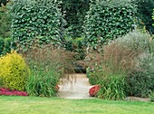 Plantsmans foliage garden,RHS Rosemoor