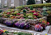 Scottish cottage heather garden