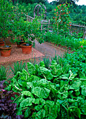 Fruit and vegetable garden