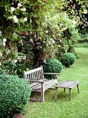 Bench and table on a lawn