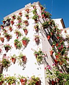 Walls covered in pots of flowers
