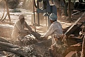 Cutting fire wood,India