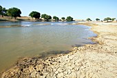 Desert oasis,India