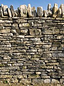 Dry stone wall,Dorset