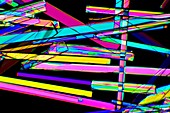 Zeolite crystals,light micrograph