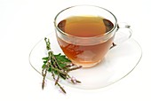 Vervain herbal tea