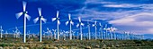 Wind turbines,California,USA