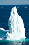 Iceberg,Canada