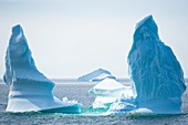Icebergs,Canada