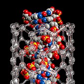 DNA nanotechnology,artwork