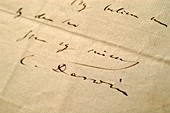 Charles Darwin's signature,1859