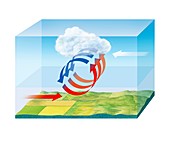 Tornado dynamics,artwork