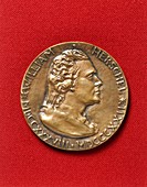 Jackson-Gwilt Medal