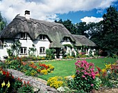 Thatched Eaves cottage
