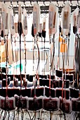Donor blood processing