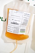 Separated blood platelets