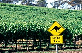 Kangaroo crossing sign,Australia