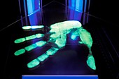 Ultraviolet light detection of handprint