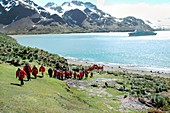 Antarctic tourism