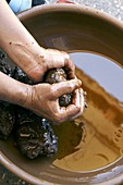 Argan oil production