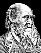 Charles Darwin,British naturalist