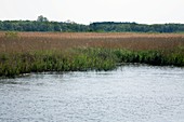 Wroxham Broad,Norfolk Broads