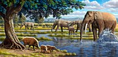 Mammals of the Miocene era,artwork