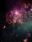 Tarantula nebula NGC 2070
