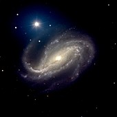 Barred spiral galaxy NGC 613
