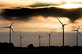 Wind turbines at dusk