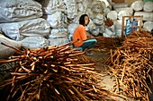 Girl sitting by stack of cinnamon sticks