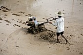 Farmer ploughing field